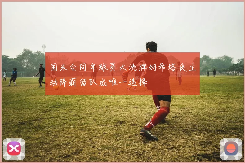 国米合同年球员大洗牌姆希塔良主动降薪留队成唯一选择